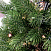 Ель CRYSTAL TREES ЦАРСКАЯ КОРОНА с вплетенной гирляндой 150 см. KP6115L